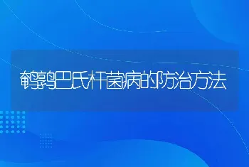 鹌鹑巴氏杆菌病的防治方法