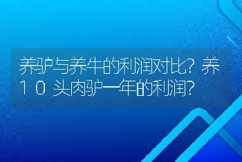 养驴与养牛的利润对比？养10头肉驴一年的利润？