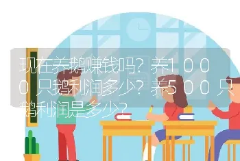 现在养鹅赚钱吗？养1000只鹅利润多少？养500只鹅利润是多少？