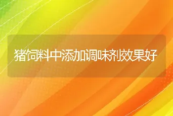 猪饲料中添加调味剂效果好