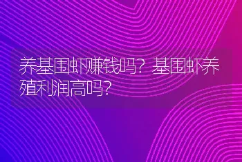 养基围虾赚钱吗？基围虾养殖利润高吗？