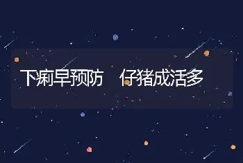 鹌鹑快速的育肥法