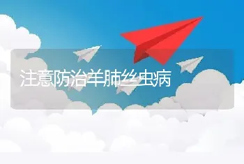 注意防治羊肺丝虫病