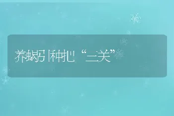 养蝎引种把“三关”