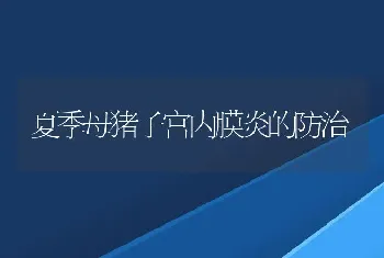 夏季母猪子宫内膜炎的防治