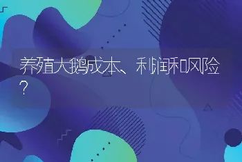 养殖大鹅成本、利润和风险？