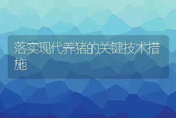 落实现代养猪的关键技术措施