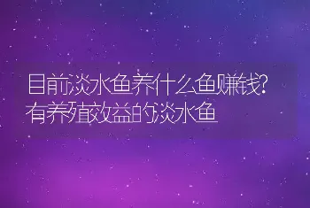 目前淡水鱼养什么鱼赚钱?有养殖效益的淡水鱼