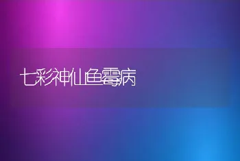 怎样圈怎样圈怎样圈养肉狗(肉犬) 养肉狗(肉犬)