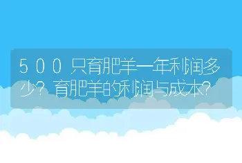 500只育肥羊一年利润多少？育肥羊的利润与成本？