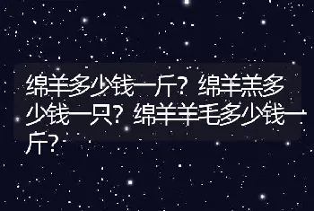 绵羊多少钱一斤？绵羊羔多少钱一只？绵羊羊毛多少钱一斤？