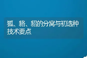 狐、貉、貂的分窝与初选种技术要点