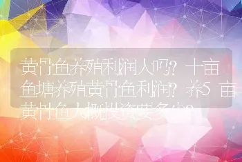 黄骨鱼养殖利润大吗?十亩鱼塘养殖黄骨鱼利润?养5亩黄骨鱼大概投资要多少?