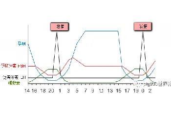 激素管理 (III)-使用外源孕酮控制母猪发情时间