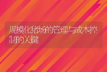 规模化猪场的管理与成本控制的关键