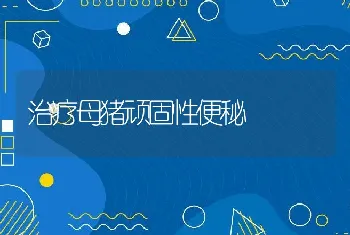 治疗母猪顽固性便秘