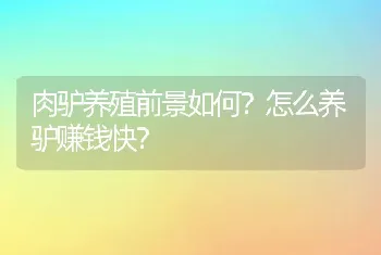 肉驴养殖前景如何？怎么养驴赚钱快？