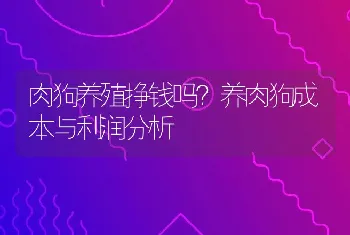 肉狗养殖挣钱吗？养肉狗成本与利润分析