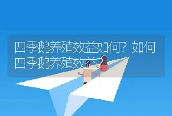 四季鹅养殖效益如何？如何四季鹅养殖效益？