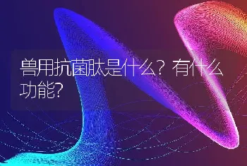 兽用抗菌肽是什么？有什么功能？