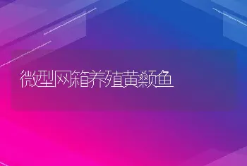 微型网箱养殖黄颡鱼