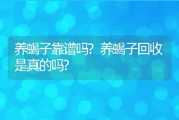 养蝎子靠谱吗?养蝎子回收是真的吗?