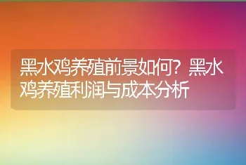 黑水鸡养殖前景如何？黑水鸡养殖利润与成本分析