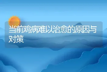 秋季饲养山羊的方法