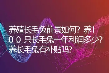 养殖长毛兔前景如何？养100只长毛兔一年利润多少？养长毛兔有补贴吗?