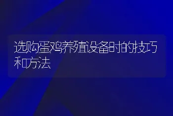 选购蛋鸡养殖设备时的技巧和方法