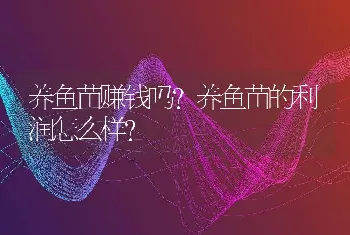 养鱼苗赚钱吗？养鱼苗的利润怎么样？