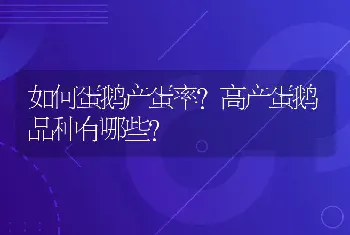 竹鼠繁育需要注意什么？