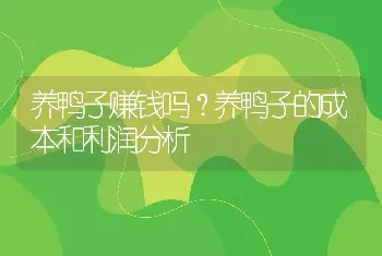 养鸭子赚钱吗？养鸭子的成本和利润分析