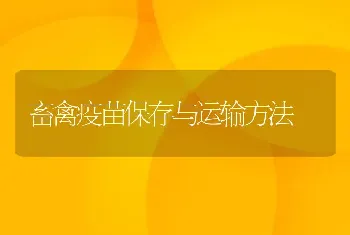 畜禽疫苗保存与运输方法