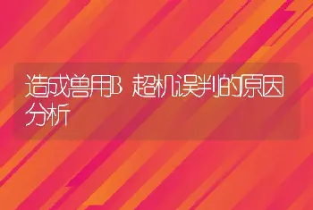 造成兽用B超机误判的原因分析