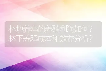 林地养鸡的养殖利润如何？林下养鸡成本和效益分析？