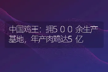 中国鸡王：拥500余生产基地，年产肉鸡达5亿