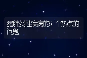 猪肺炎性疾病的6个热点的问题