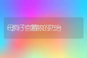 母狗子宫蓄脓的防治