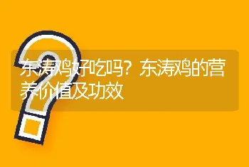 东涛鸡好吃吗？东涛鸡的营养价值及功效