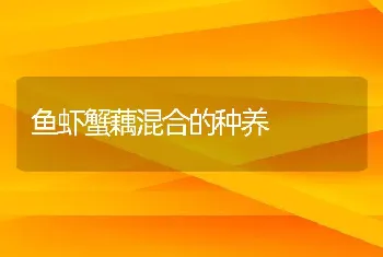 鱼虾蟹藕混合的种养