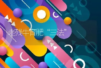 老残牛育肥“三法”