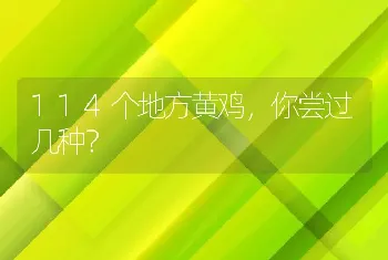 114个地方黄鸡，你尝过几种？