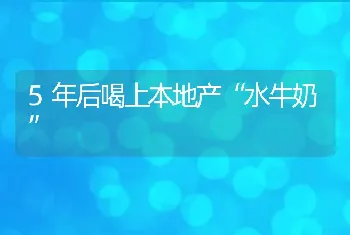 5年后喝上本地产“水牛奶”