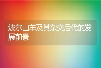 4招助后备母猪尽早启动初情，越早赚钱、赚更多的钱