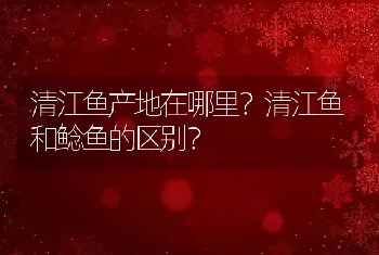 清江鱼产地在哪里？清江鱼和鲶鱼的区别？