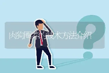 白玉蜗牛“三高”养殖技术