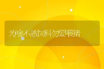 为啥不熟饲料勿要喂猪