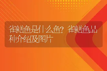 雀鳝鱼是什么鱼？雀鳝鱼品种介绍及图片