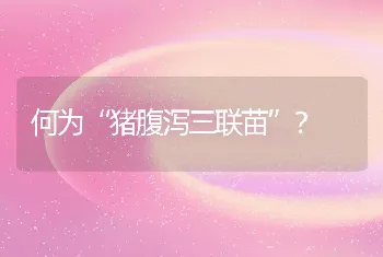 何为“猪腹泻三联苗”？